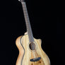 Breedlove USA Oregon Dreadnought Concerto 12-String CE - Myrtlewood/Myrtlewood