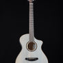 Breedlove USA Oregon Concert Permafrost CE LTD - Myrtlewood/Myrlewood