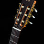 Córdoba Dolce 7/8-Size Classical