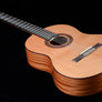 Córdoba Dolce 7/8-Size Classical