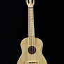 Kala KA-BMB-C Bamboo Concert Ukulele