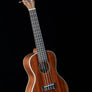 Kala KA-CG Gloss Mahogany Concert Ukulele