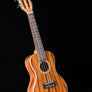 Kala KA-SMH-CG Solid Gloss Mahogany Concert Ukulele