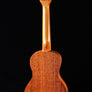 Kala Surf Series Concert Ukulele - Surf's Up