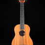 Kala Nomad Acoustic-Electric U-Bass