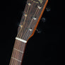 Martin D-10E Retro Sapele - New for 2026!