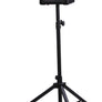 Roland CUBE Street EX Battery-Powered Stereo Amplifier