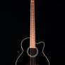 Ibanez 2004 AEB10BK Acoustic Bass - Used