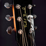 Gold Tone Paul Beard Signature Series PBS Resonator