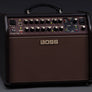 Boss Acoustic Singer Live Acoustic Amp