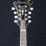 Eastman MD815/v