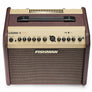 Fishman Loudbox Mini Bluetooth