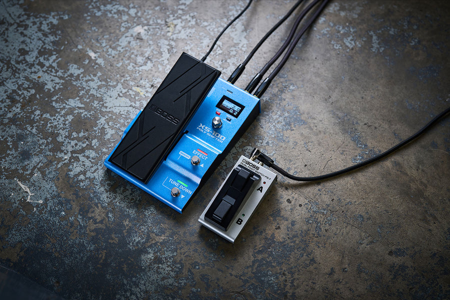 Boss XS-100 Poly Shifter