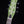 Danelectro Blackout '59M NOS+ - Green Envy