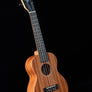 Kala KA-JH-MHG-C James Hill Signature Solid Top Mahogany Concert Ukulele (JH-1)