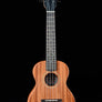 Kala KA-JH-MHG-C James Hill Signature Solid Top Mahogany Concert Ukulele (JH-1)