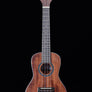 Kala KA-SMH-C Satin Solid Mahogany Concert Uke