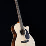Martin GPC-16E Rosewood