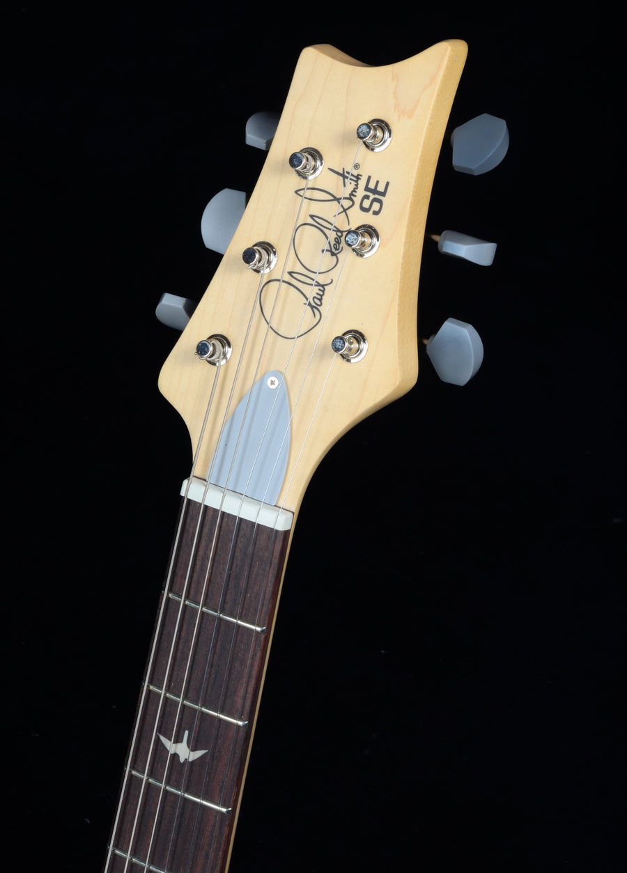 PRS SE Silver Sky Rosewood - Stone Blue
