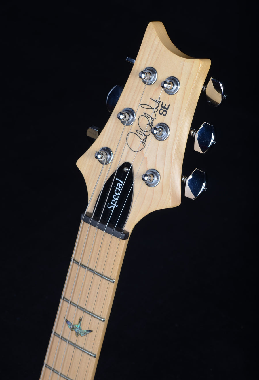 PRS SE Swamp Ash Special - Charcoal