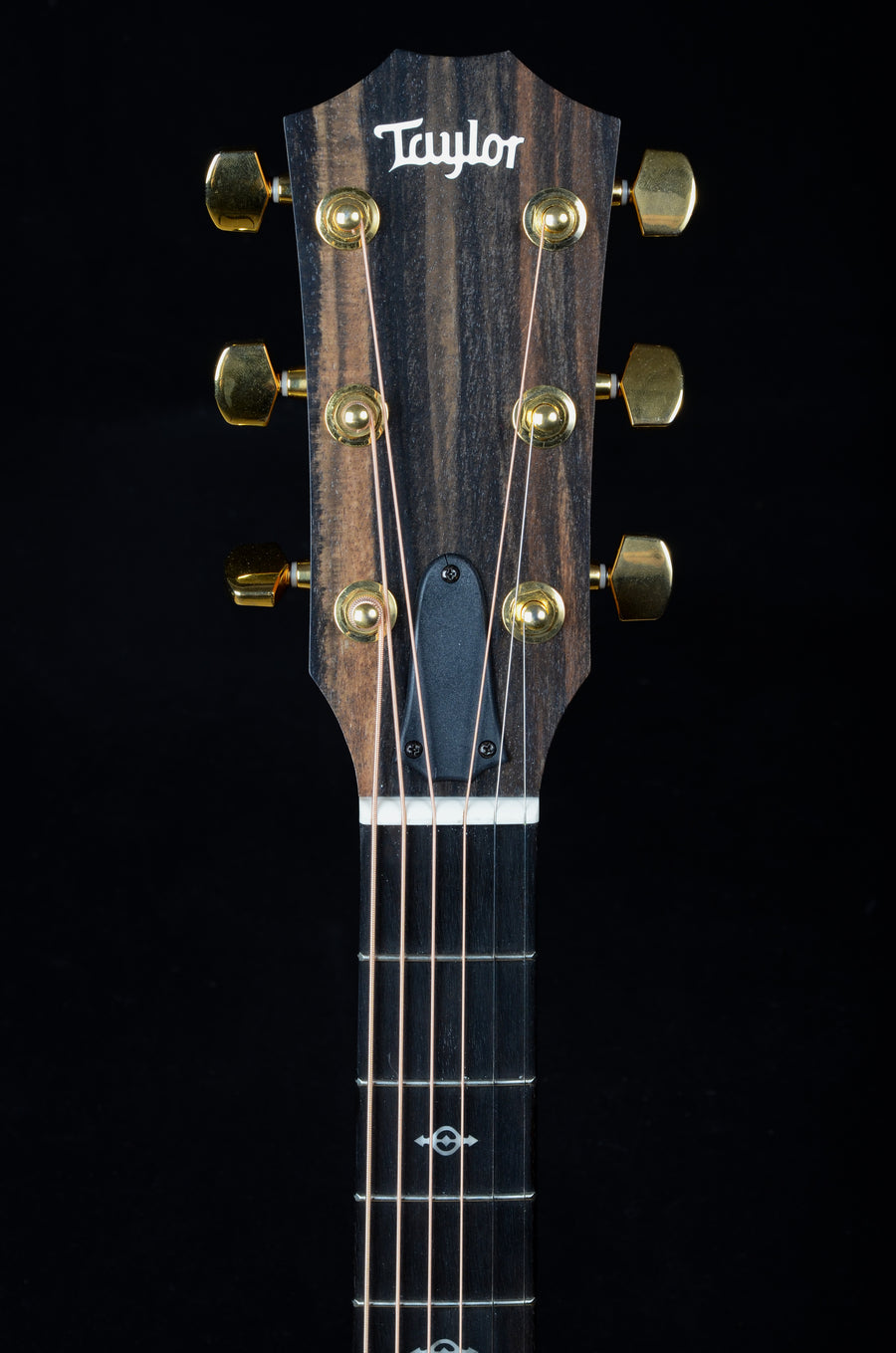 Taylor 224ce-K DLX