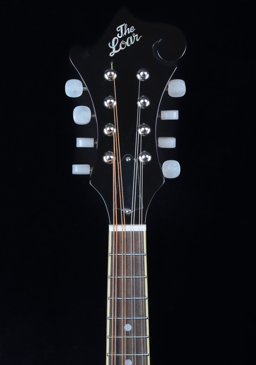 The Loar Performer Series LM-520-VS