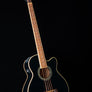 Ibanez 2004 AEB10BK Acoustic Bass - Used
