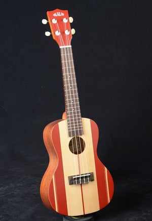 Kala Surf Series Concert Ukulele - Surf's Up