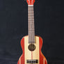 Kala Surf Series Concert Ukulele - Surf's Up
