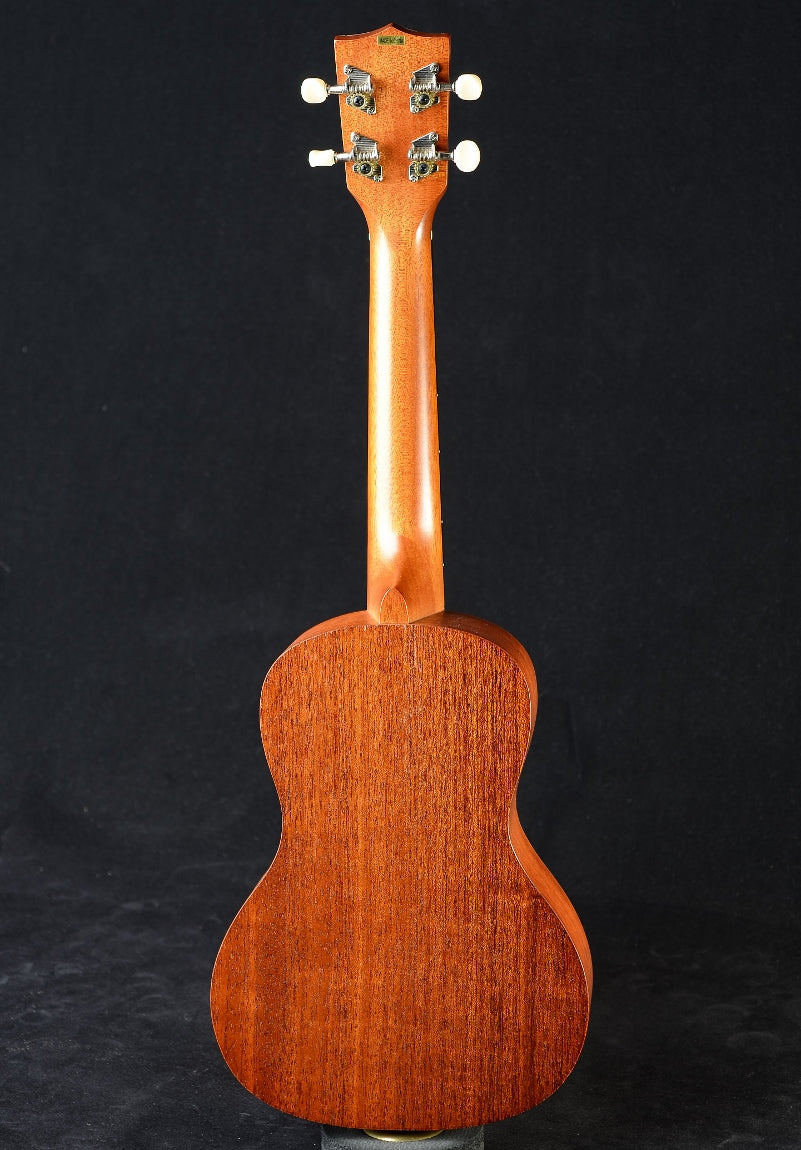 Kala Surf Series Concert Ukulele - Surf's Up