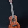 Kala KA-SMH-C Satin Solid Mahogany Concert Uke